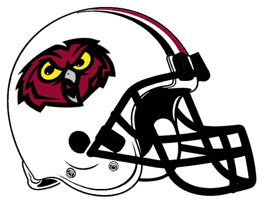 Temple Owls 2000-2003 Helmet Logo diy DTF decal sticker